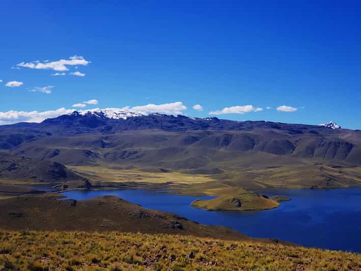 From Puno: 2-Day Tour to Colca Canyon ending in Arequipa - Salinas and Aguada Blanca wildlife