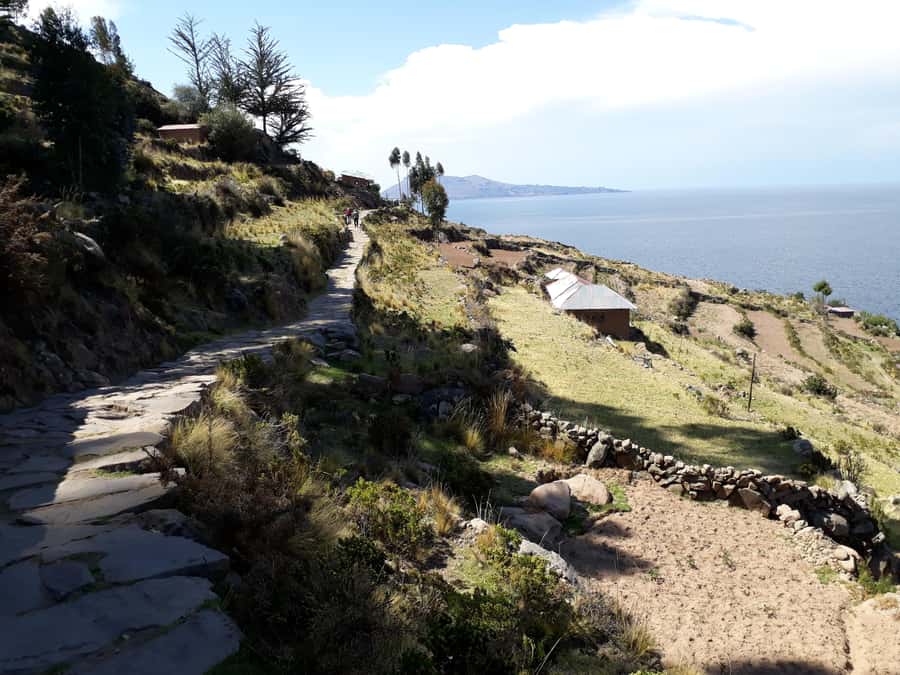 From Puno: full day tour to Uros and Taquile with Lunch - Uros, where the islands are made from totora reeds