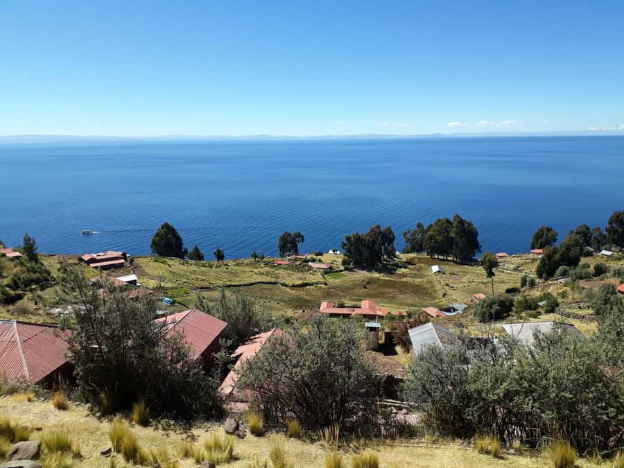 From Puno: full day tour to Uros and Taquile with Lunch - The optional Puma viewpoint add-on