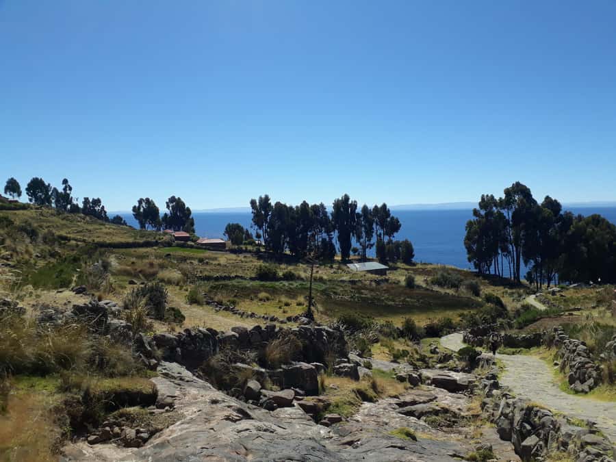 From Puno: full day tour to Uros and Taquile with Lunch - Returning to Puno Cathedral