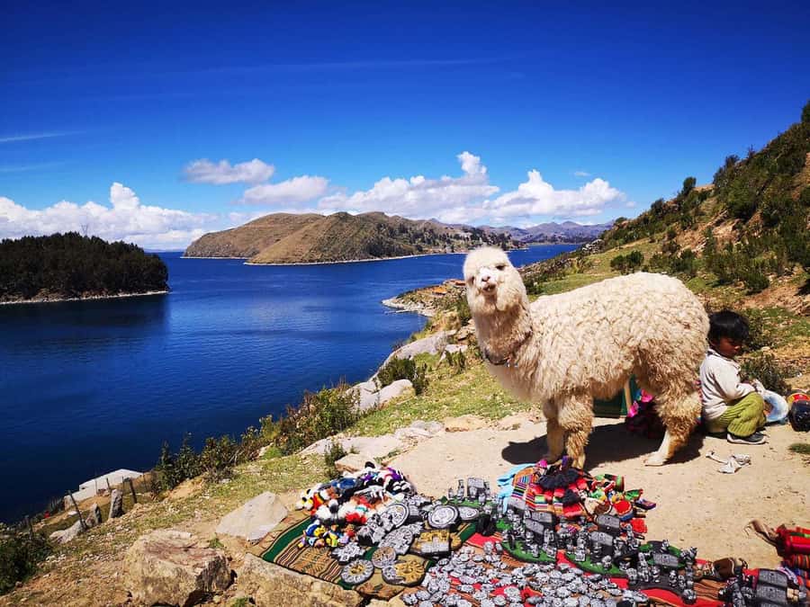 From Puno: Sun Island and Copacabana 1-Day Tour - Leaving Puno and handling the Peru-Bolivia border