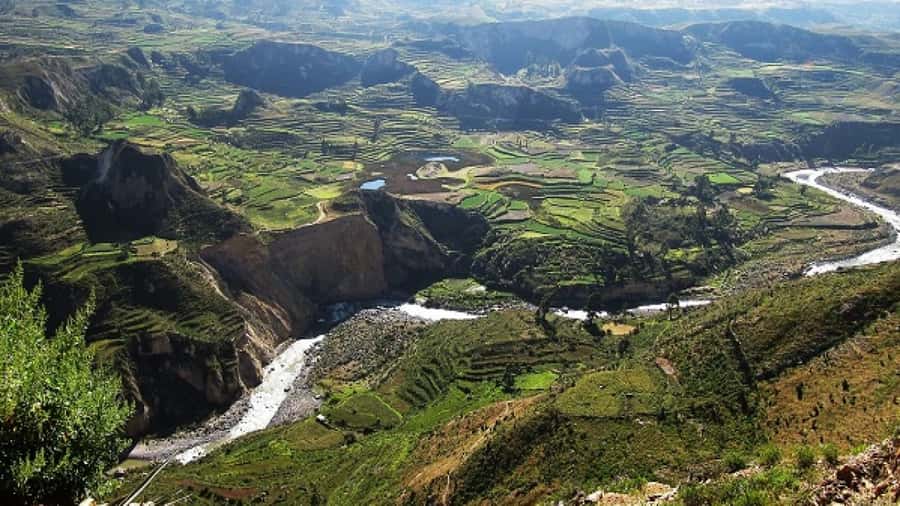 From Puno to Arequipa: 2 Days/1 Night Colca Canyon Tour - Why this Puno to Arequipa route makes sense