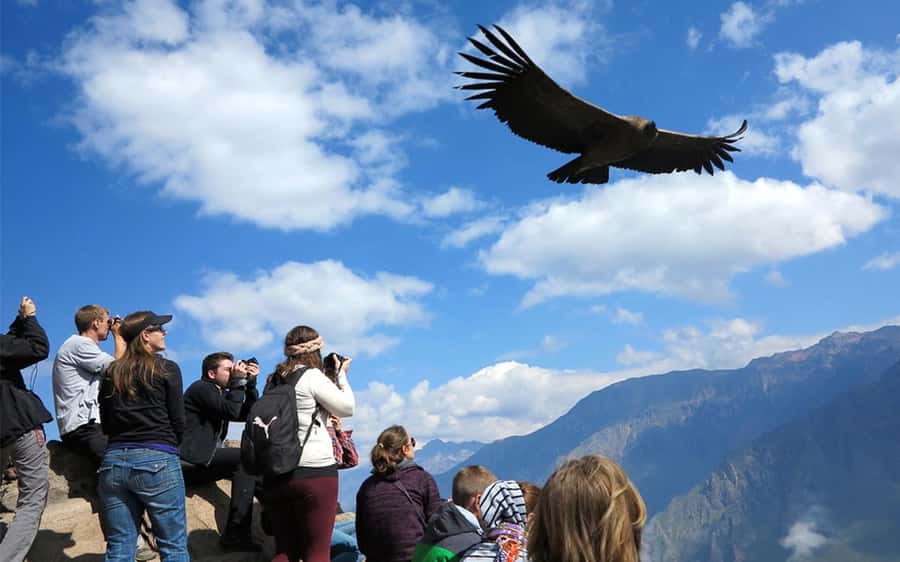 From Puno to Arequipa: 2 Days/1 Night Colca Canyon Tour - Patapampa at 4,830 meters