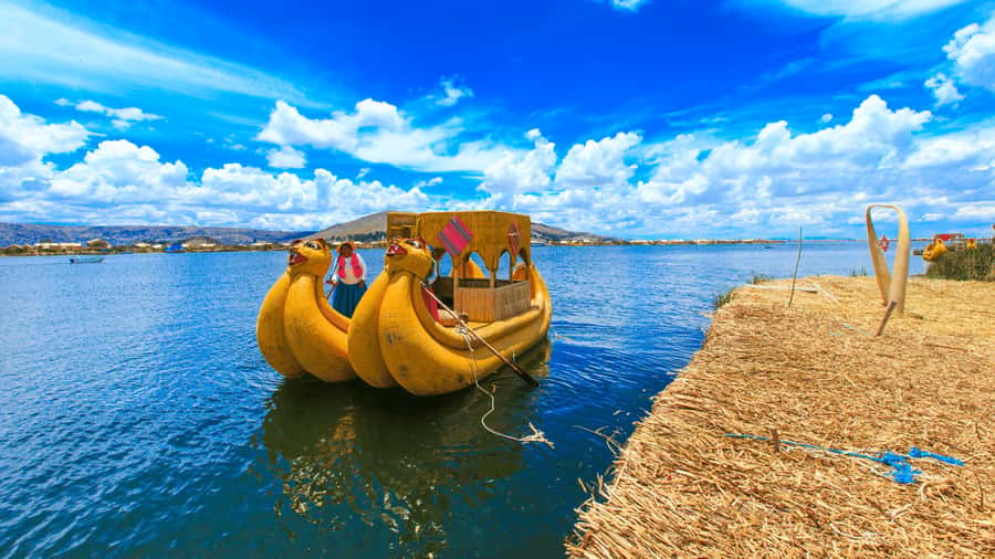 From Puno: Travel to Cusco in Titicaca Train All Inclusive - Service strengths and booking cautions