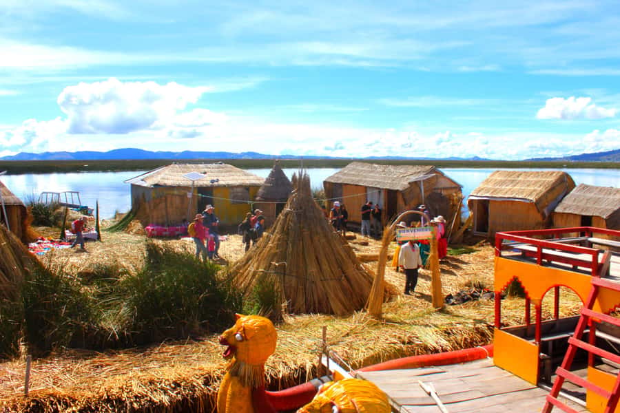 From Puno: Uros floating islands half Day tour - Seeing how totora reeds hold up an island