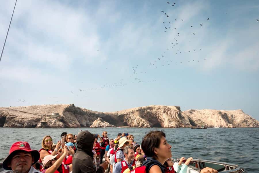 From San Martin Port: Ballestas Island & Paracas Reserve - Starting at San Martin Port before the crowds