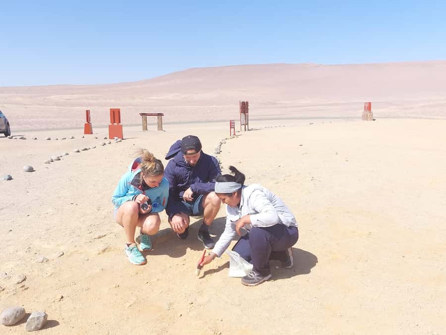 From San Martin Port: Ballestas Island & Paracas Reserve - Who will enjoy this half-day outing