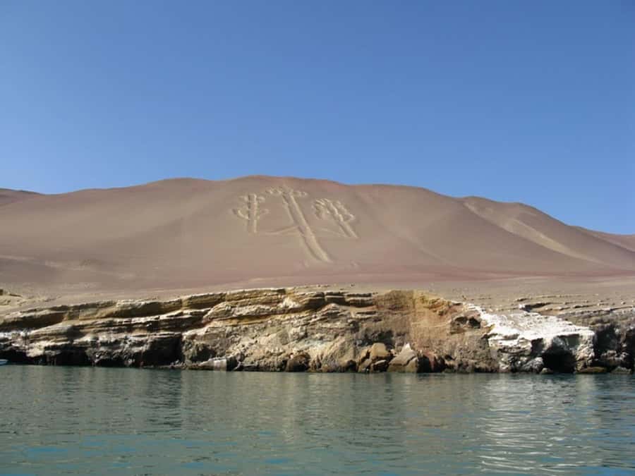 From San Martin Port: Ballestas Islands Tour in Paracas - Wildlife to watch for from the boat