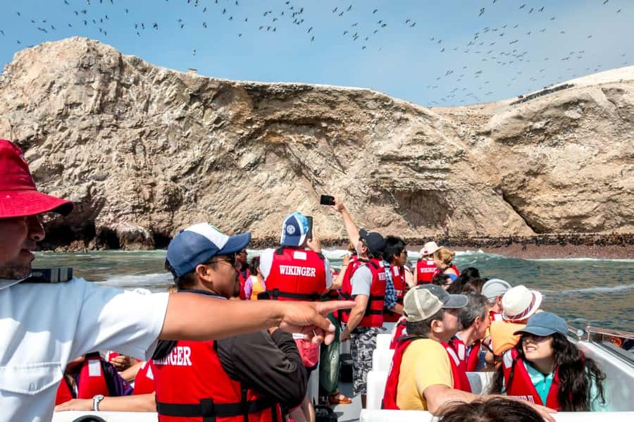From San Martin Port: Ballestas Islands Tour in Paracas - What $84 covers, and what it does not