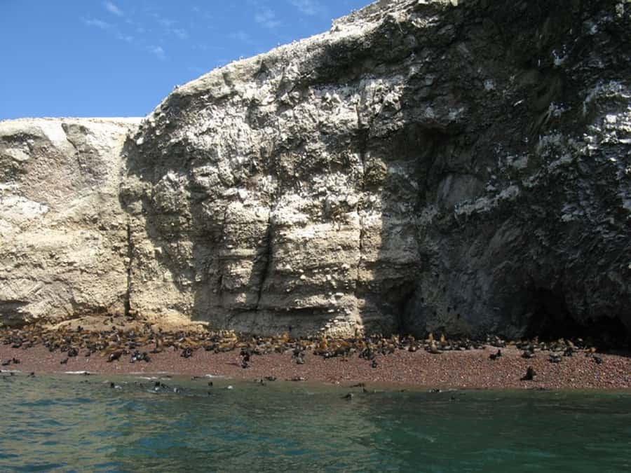 From San Martin Port: Ballestas Islands Tour in Paracas - Who should book this outing?