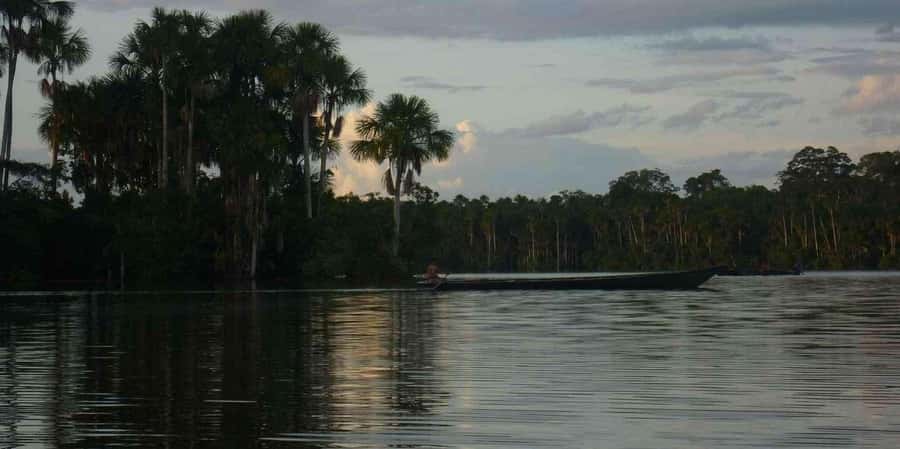 From Tambopata: Amazon Jungle Hike and Lake Sandoval 1-Day - Starting at 9:00 am from Puerto Maldonado