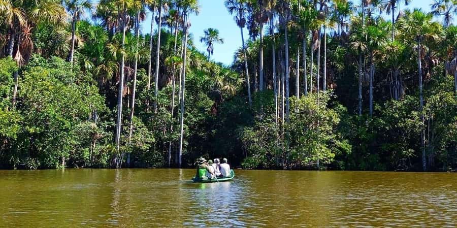 From Tambopata: Amazon Jungle Hike and Lake Sandoval 1-Day - Communication and booking details