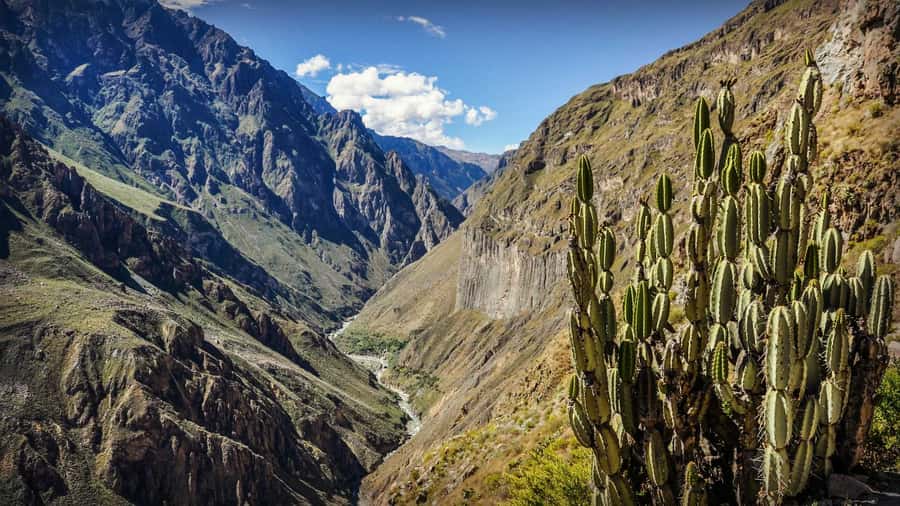 Full-Day Colca Canyon Tour from Arequipa - Lunch and La Calera hot springs