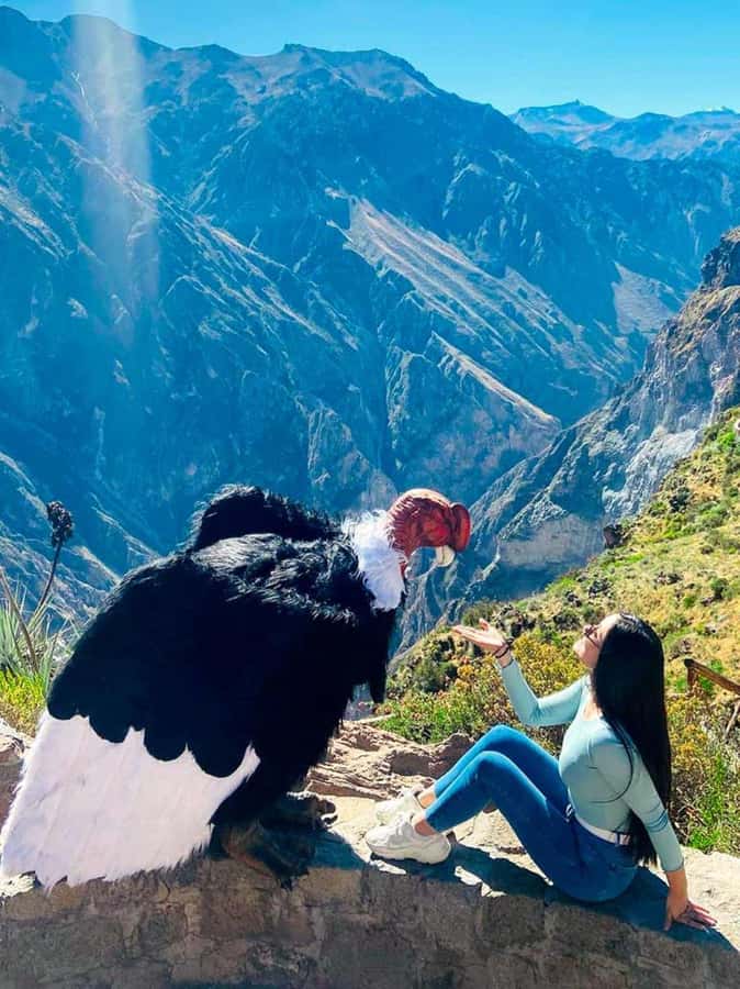 Full day excursion to Colca Canyon - The long road from Arequipa to Colca Canyon