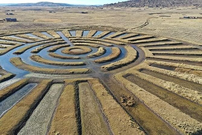 Full Day Guided Tour of the Aymara Route from Puno - Key points to know before you book