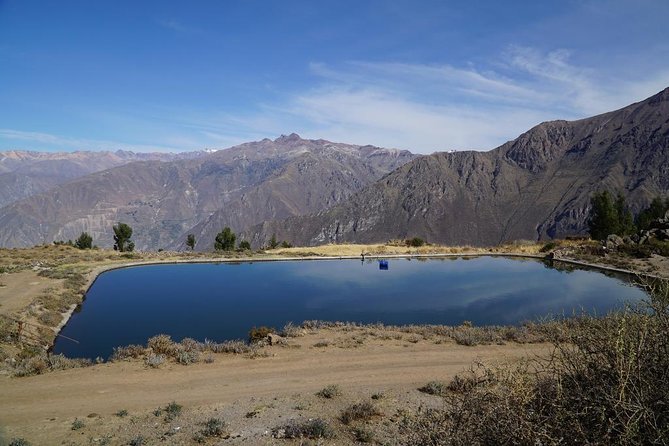Full Day Tour / Colca Canyon - Seeing the canyon without hiking into it