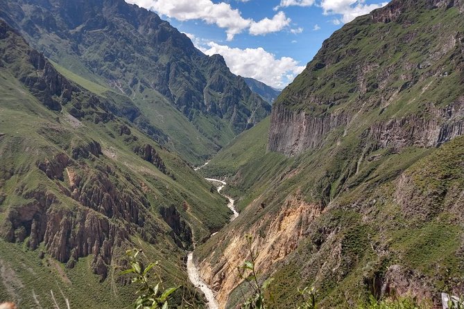 Full Day Tour / Colca Canyon - Pampa Cañahuas and the return through high country
