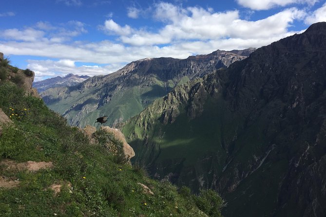Full Day Tour / Colca Canyon - A 3:00 am pickup and a long road to Chivay