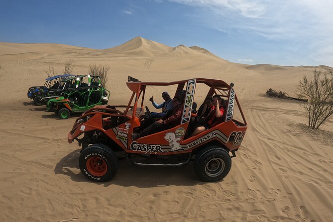 Full day Tour Paracas Ica & Huacachina from Lima. - Ica wine and pisco tasting