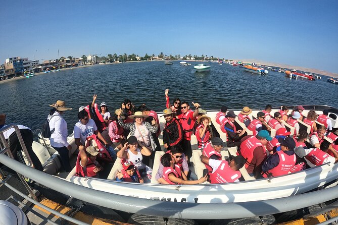 Full day Tour Paracas Ica & Huacachina from Lima. - Paracas and the Ballestas Islands