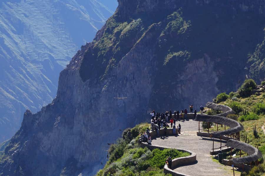 Full Day Trip to Colca Canyon from Arequipa ending in Puno - The five details that matter most