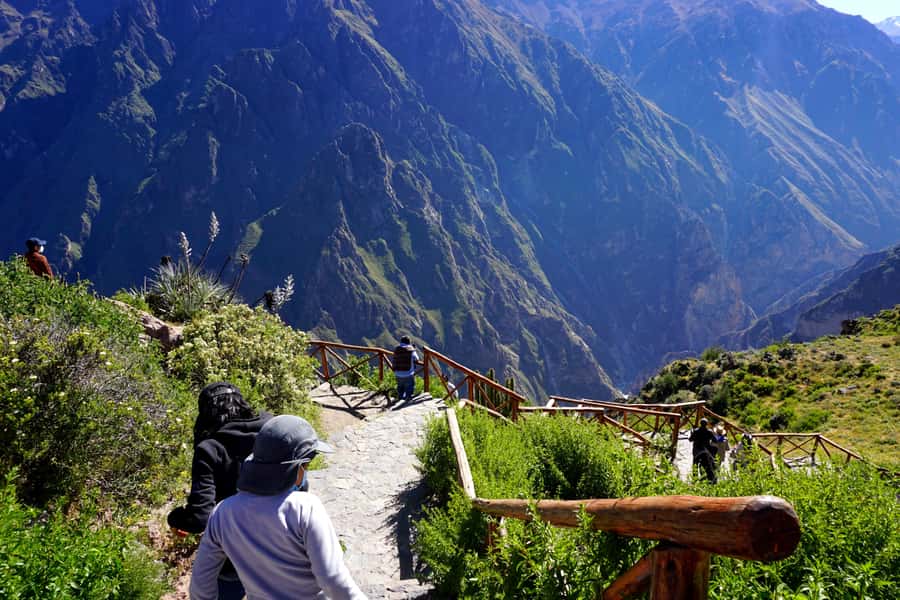 Full Day Trip to Colca Canyon from Arequipa ending in Puno - Patahuasi, Lagunillas, and the final run to Puno