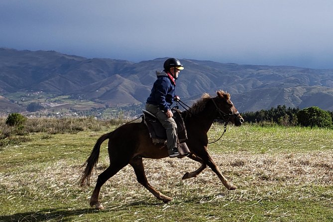 Half day Horseback Riding tour around Sacsayhuaman park - Meeting the Horses and Getting Ready