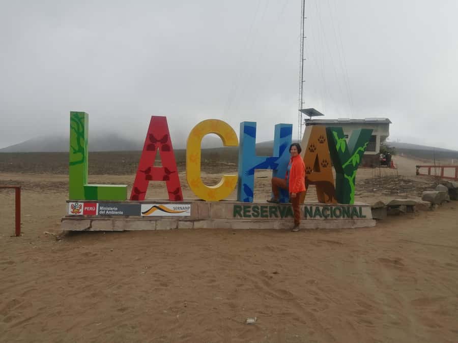 Hiking Lomas de Lachay in Lima - Key points at a glance
