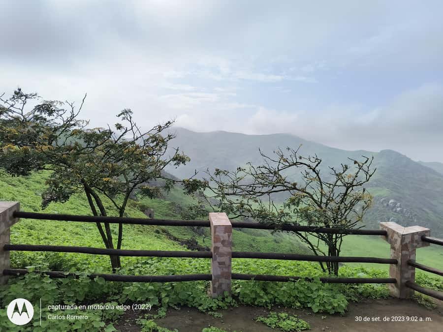 Hiking Lomas de Lachay in Lima - Following the hills, dunes, and open views