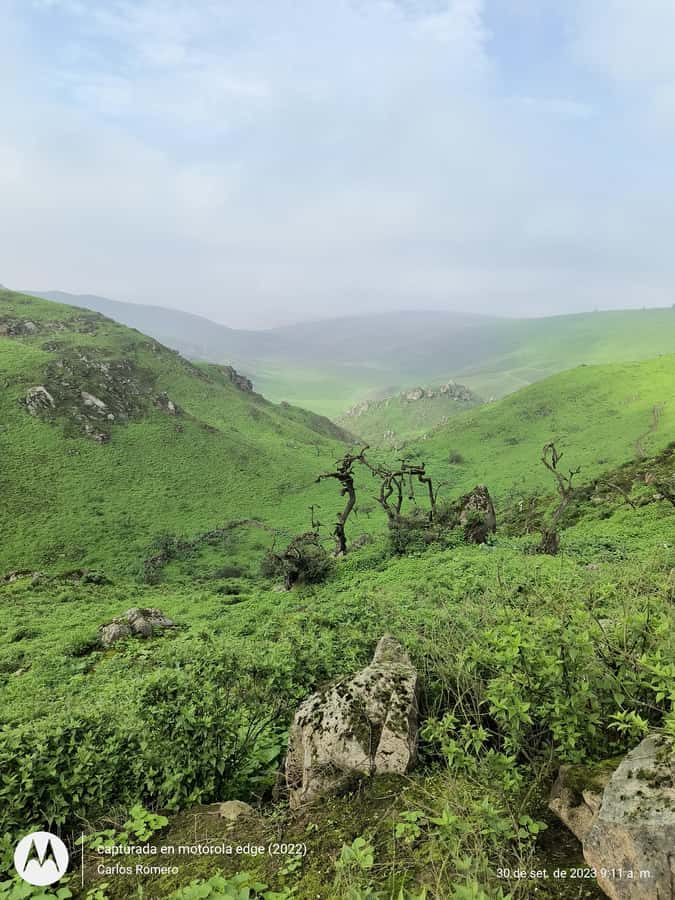 Hiking Lomas de Lachay in Lima - The 5 a.m. pickup and journey north