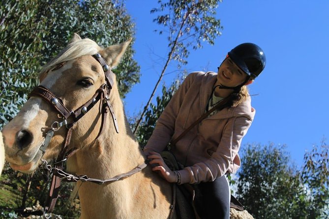 Horse Riding Chacan Mountain And Temple Of The Moon - Reaching Chacan Mountain for the views