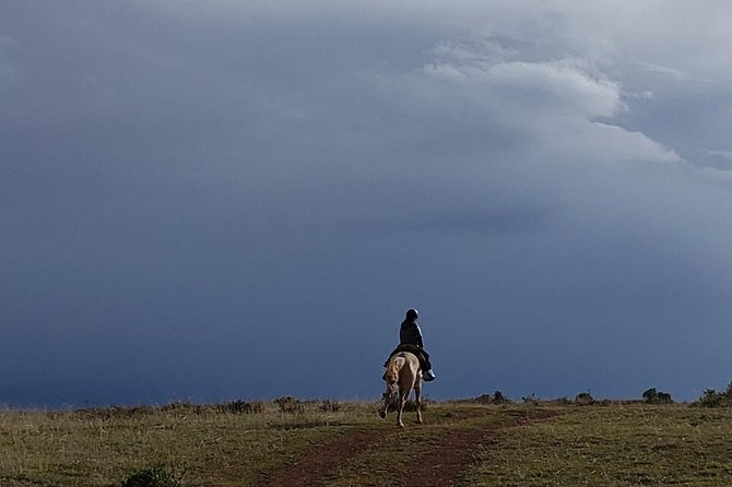 Horseback Tour in cusco to Temple of the Moon & Hidden temples - At a glance: what makes this ride worth considering