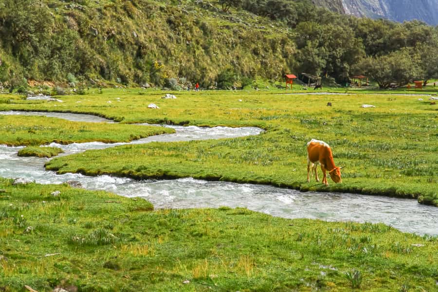 Huaraz: 3-hour Trek to Laguna 69 with Optional Lunch - Pickup Details Deserve Attention