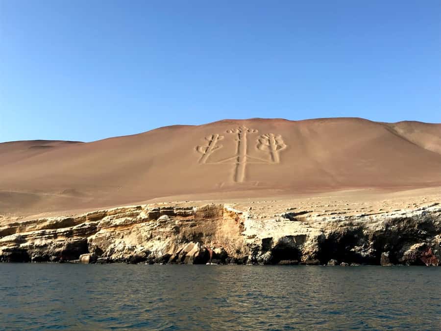 Ica: Ballestas Island & Paracas Reserve Private Tour - Key points to know before booking