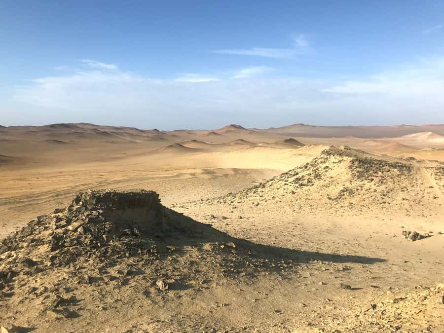 Ica: Ballestas Island & Paracas Reserve Private Tour - Who should book this six-hour outing?