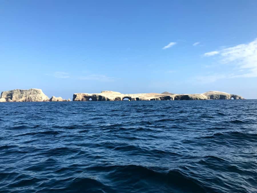 Ica: Ballestas Island & Paracas Reserve Private Tour - From Ica hotel pickup to the Marina Turistica