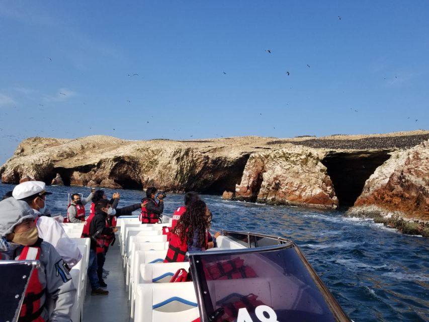 Ica: Ballestas Island & Paracas Reserve Private Tour - Guide service and organization