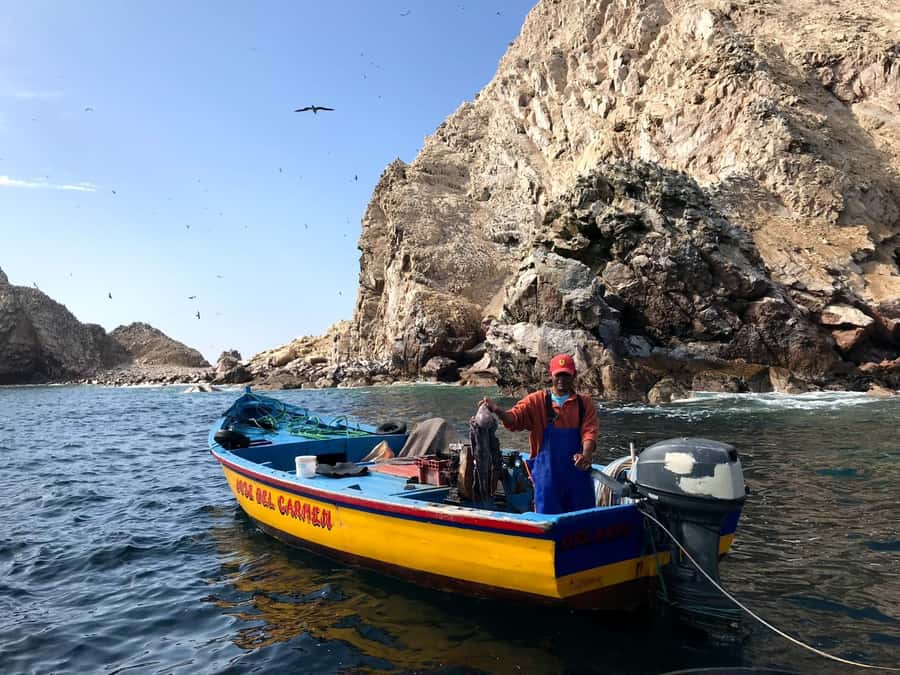 Ica: Ballestas Island & Paracas Reserve Private Tour - The Candelabro: Peru’s coastal mystery