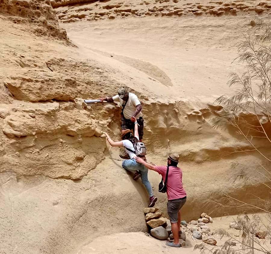 Ica: Canyon of the Lost Tour in Ocucaje Desert - Who should take this desert tour