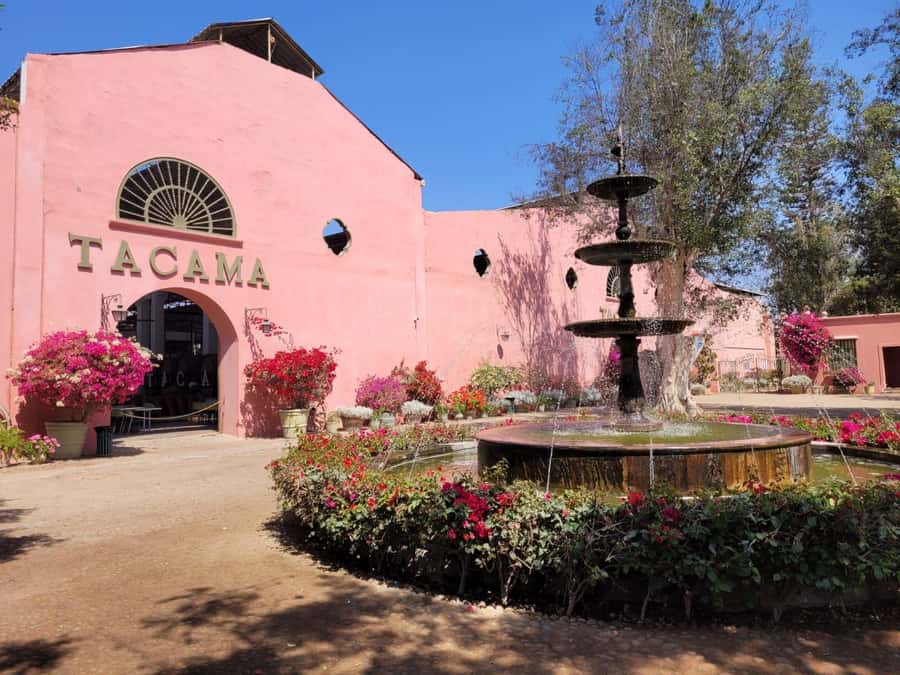 ICA: Pisco and Wine Route with tasting in 03 Wineries - Key points to know before booking