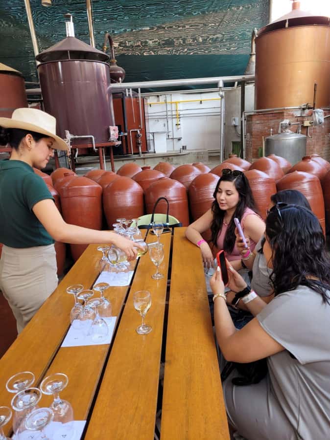 ICA: Pisco and Wine Route with tasting in 03 Wineries - Hacienda Tacama and the First Hour