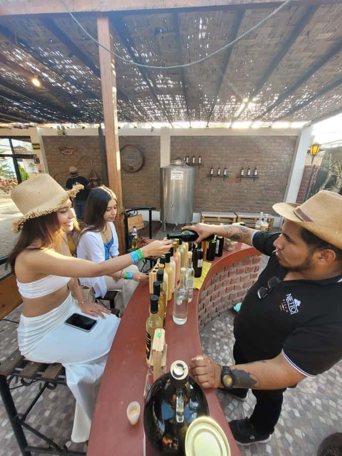 ICA: Pisco and Wine Route with tasting in 03 Wineries - Tasting Pisco and Local Wine