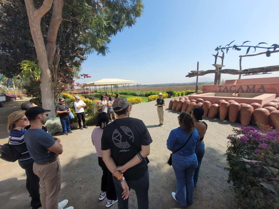 ICA: Pisco and Wine Route with tasting in 03 Wineries - What the $29 Price Really Delivers