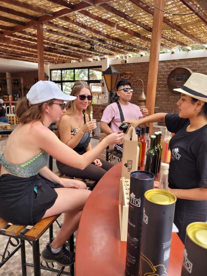 ICA: Pisco and Wine Route with tasting in 03 Wineries - Language, Walking, and Accessibility