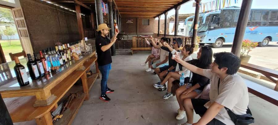 ICA: Pisco and Wine Route with tasting in 03 Wineries - Who Will Enjoy This Ica Experience