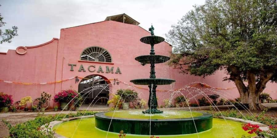 Ica: Tacama Winery and Pisco Tasting Tour with Hotel Pickup - Key points to know before you go