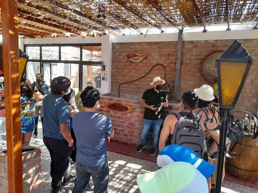 Ica: Tacama Winery and Pisco Tasting Tour with Hotel Pickup - Why Ica is the right place for a pisco outing