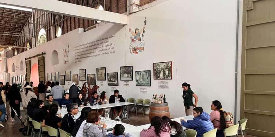 Ica: Tacama Winery and Pisco Tasting Tour with Hotel Pickup - El Catador and the hands-on side of pisco