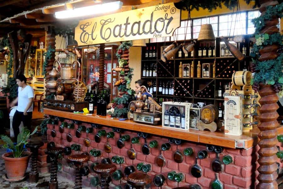 Ica: Tacama Winery and Pisco Tasting Tour with Hotel Pickup - Starting with hotel pickup and local guidance