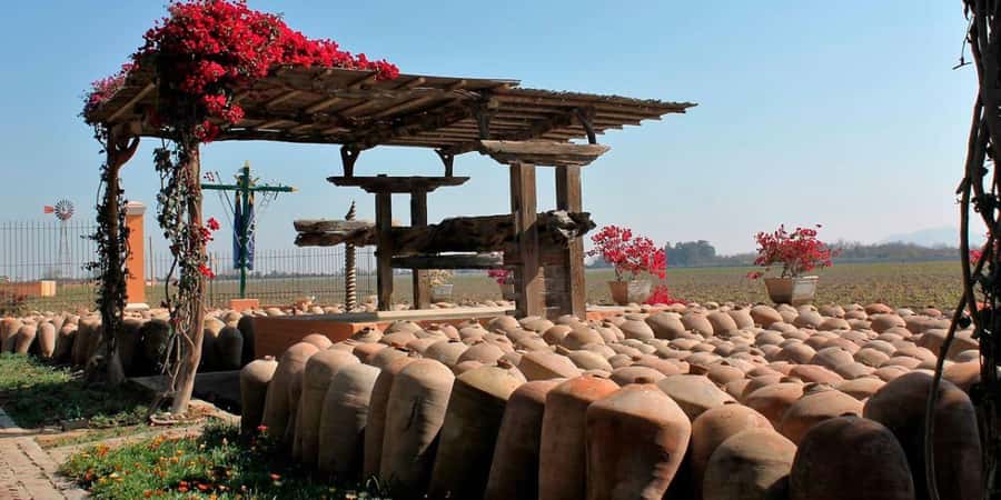 Ica: Winery Tour with Pisco and Wine Tasting - Key points to know before booking